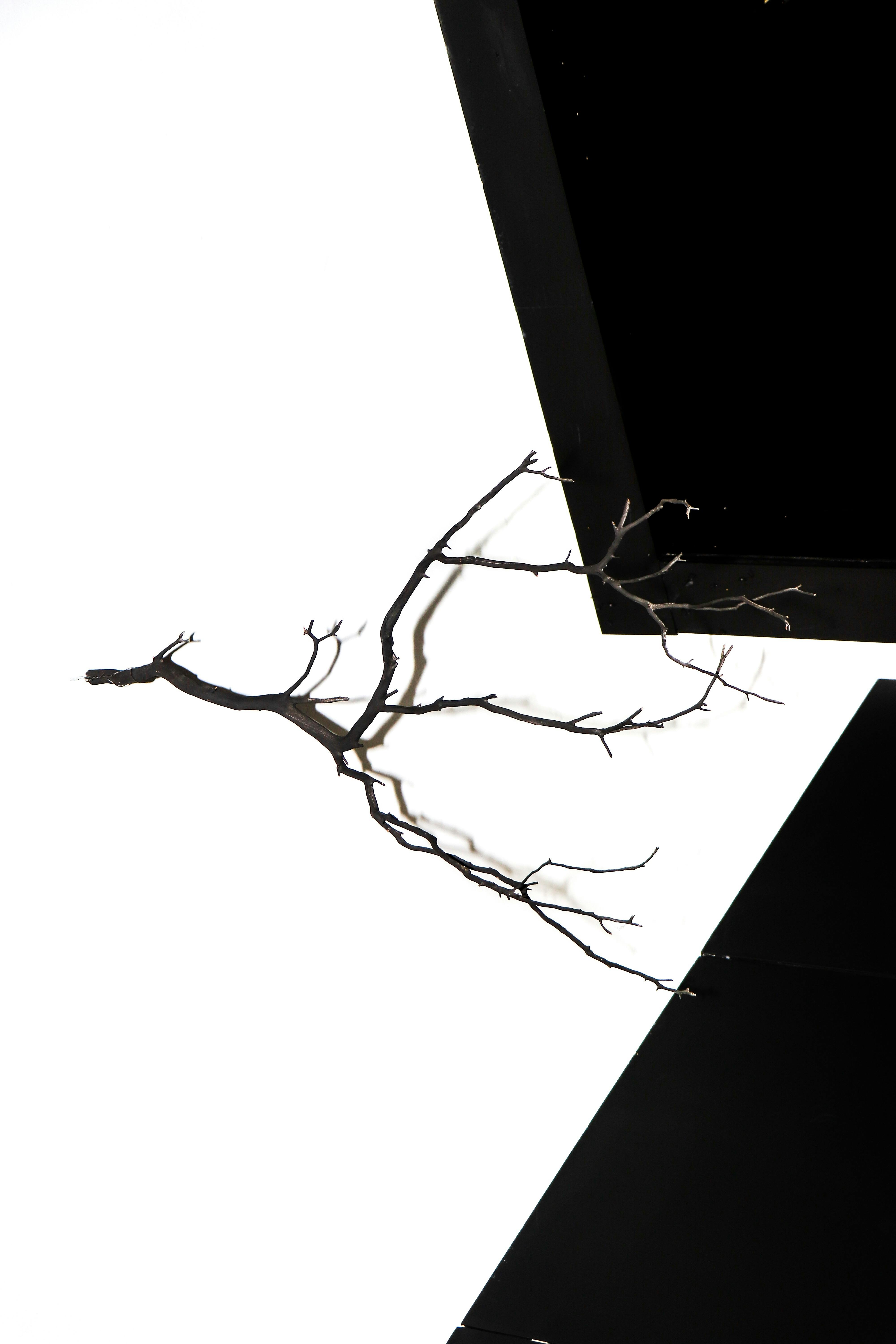 Article banner image